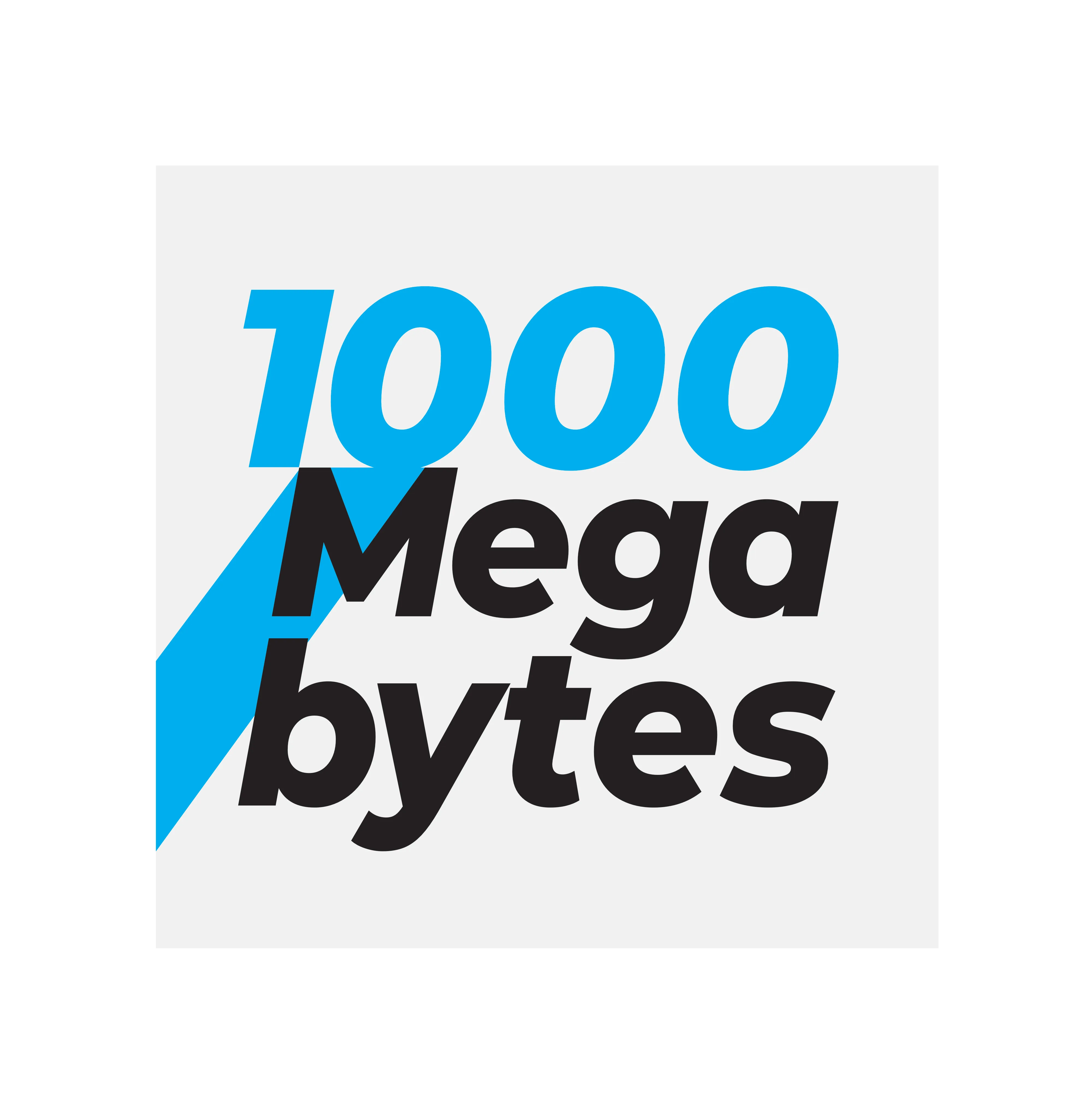 Separação do site da 1000megabytes