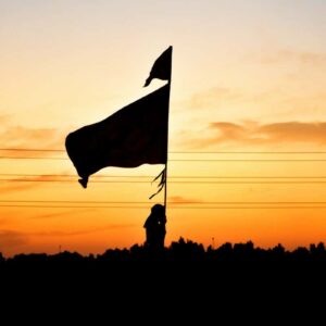 silhouette of man holding flag during sunset